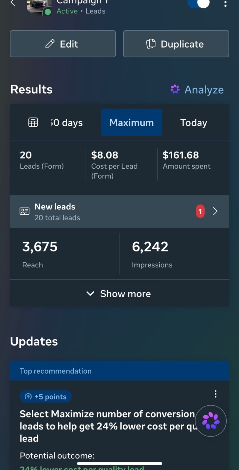Facebook Ads campaign results — 20 leads